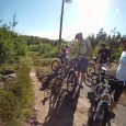 Mtb cykling längs sjöar och ängar Skulle du vilja visa uppskattning mot en viktig kund eller bjuda en samarbetspartner på en annorlunda upplevelse? Följ då med på kundevent på Eriksberg Vilt o Naturpark. Här förenar vi...